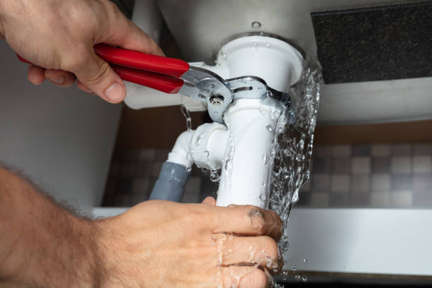 Best Water damage cleanup near me  in Orting, WA