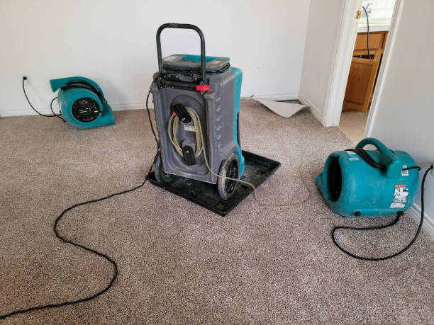 Sewage cleanup and water damage restoration in Orting, WA