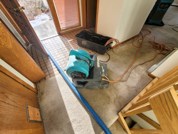 Best Local water damage restoration  in Orting, WA