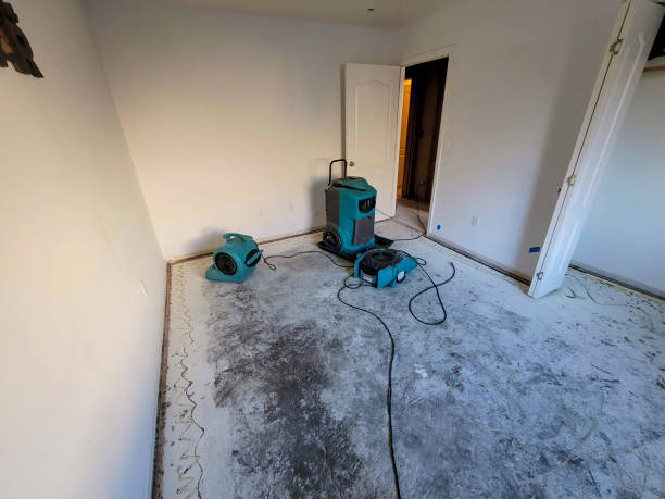 Best 24-hour water damage restoration  in Orting, WA