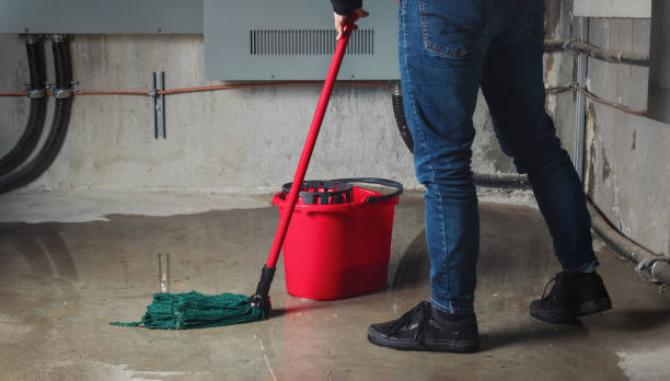 Best Water damage restoration near me  in Orting, WA