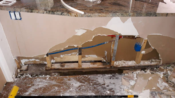 Best 24-hour water damage restoration  in Orting, WA