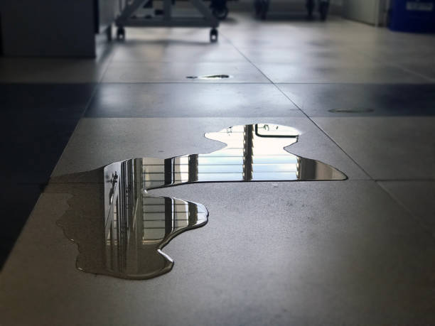 Best Water damage restoration process  in Orting, WA