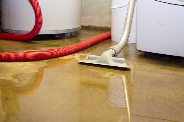  Orting, WA Water damage restoration Pros