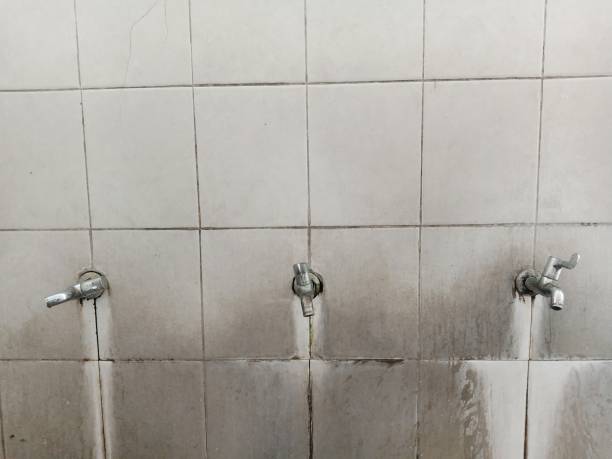Best Water damage restoration experts  in Orting, WA