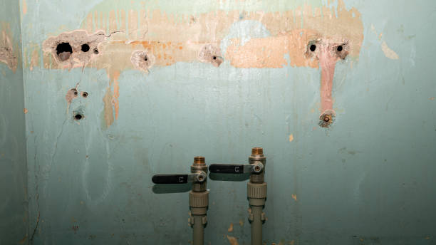 Water damage restoration process in Orting, WA