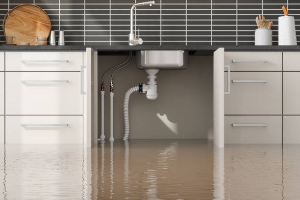 Reliable Orting, WA Water damage restoration Solutions