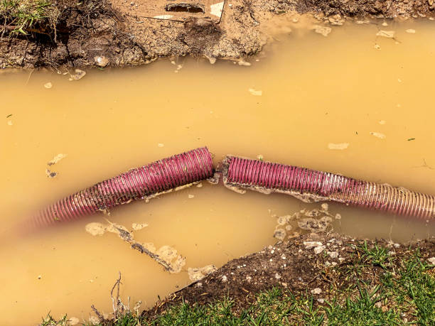 Water damage restoration mold remediation in Orting, WA