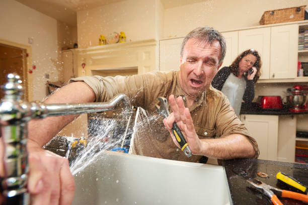 Best Flood damage cleanup  in Orting, WA